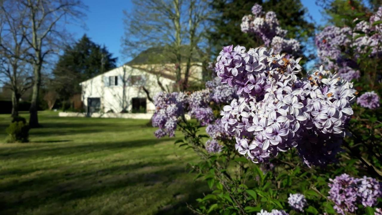La Maison Du Champ De Beaumont Galgon Exterior photo